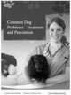 Thumbnail Common Dog Problems - Treatment and Prevention