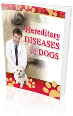 Product picture Hereditary Diseases in Dogs