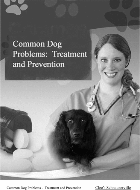 Product picture Common Dog Problems - Treatment and Prevention